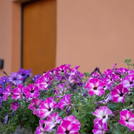 La Corte 1813 Mxp Maggiore Leonardo Apartmán *