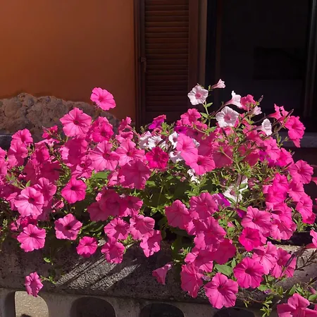 La Corte 1813 Mxp Maggiore Leonardo Appartement *