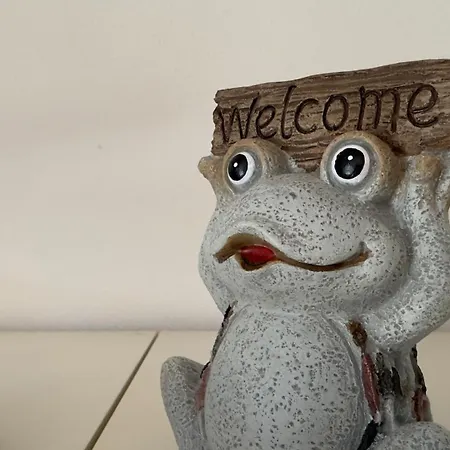 La Corte 1813 Mxp Maggiore Leonardo Apartmán Castelletto sopra Ticino