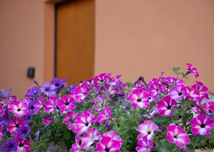 La Corte 1813 Mxp Maggiore Leonardo Appartement *