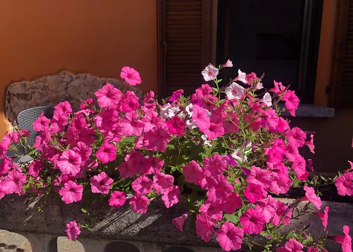 La Corte 1813 Mxp Maggiore Leonardo 아파트 *