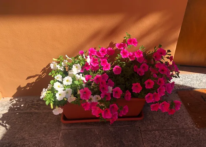 Appartement La Corte 1813 Mxp Maggiore Leonardo